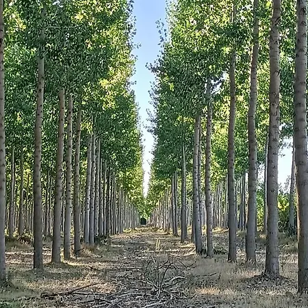 Casa Historica Aldana, Plaza Vieja * Saldaña