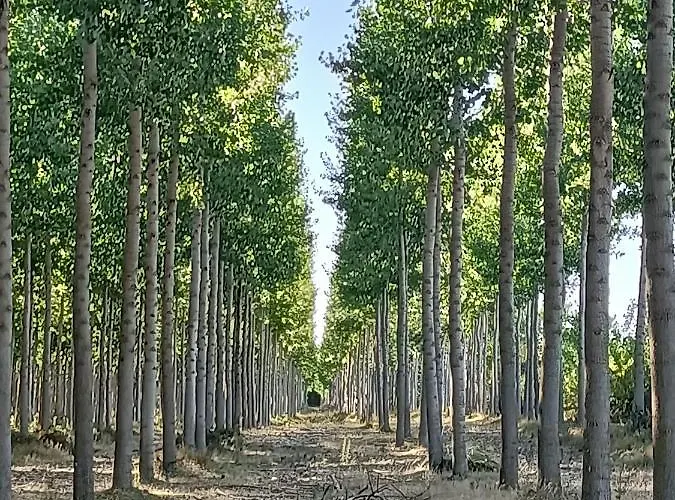 Casa Historica Aldana, Plaza Vieja * Saldaña