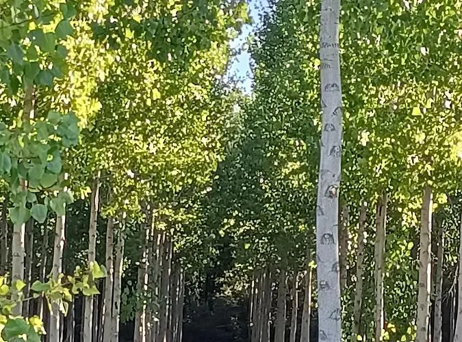 Casa Historica Aldana, Plaza Vieja Hébergement de vacances